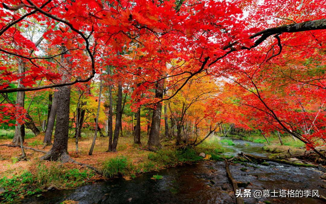 中国秋天最美的10处红叶