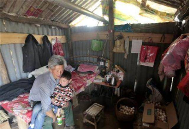 河南一7旬老人隐居孤岛养鸡,替去世儿子还债:欠了债就要还