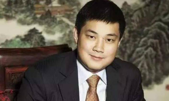 江苏首富严昊:34岁身价1200亿直逼王健林,结婚时美国总统捧场_严介和