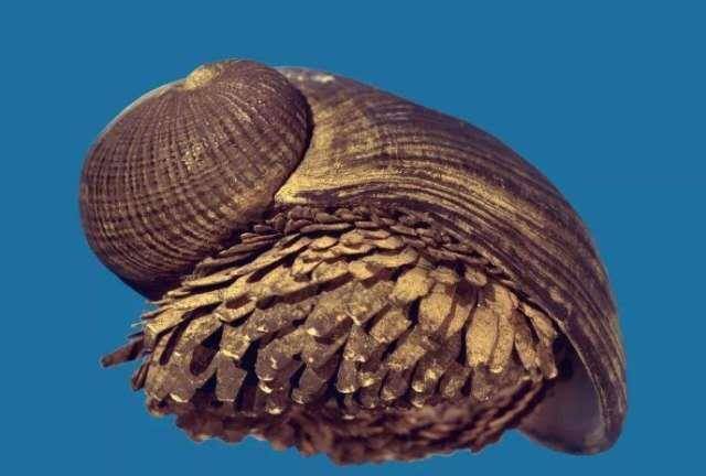 "铁甲海蜗牛"吸收海矿变身"铁甲",耐高温还防弹,已经被美军盯上