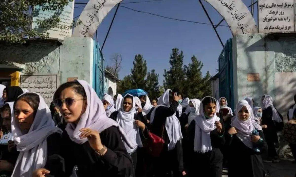 神秘组织塔利班:从打游击战到夺取政权,是如何把美国耗死的?