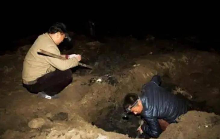 揭秘当代盗墓技术:高度职业化,河南,陕西,山西已形成高危地区