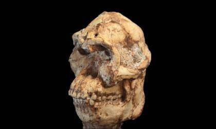 猿人化石为什么会神秘失踪?失踪于哪里?包含了哪些物件?