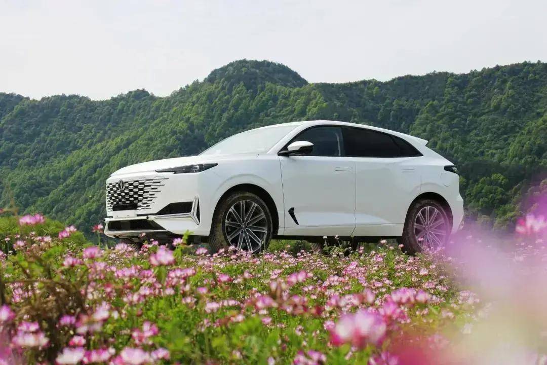 被严重低估的5款国产车,油耗低,动力强,配置越级