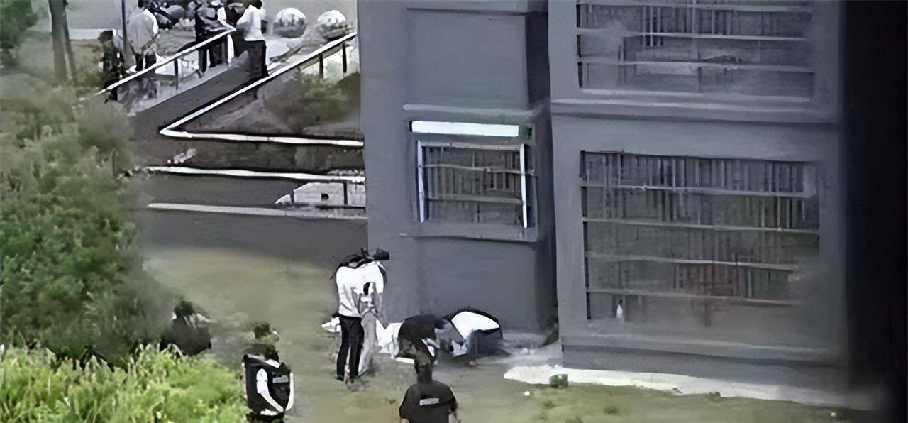 20年重庆幼童坠楼案:亲生父亲密谋9个月,把一双儿女扔下15楼