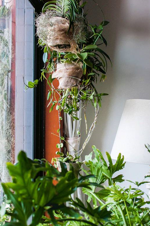 目前此区的吊挂绿植以来自台湾的达人roxanne,用用丛林般的植物组合