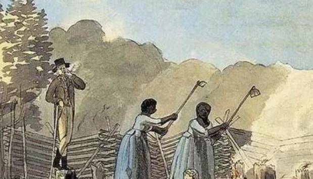 历史上非洲黑奴到底有多凄惨?尤其是女性黑奴,一段黑历史被揭开