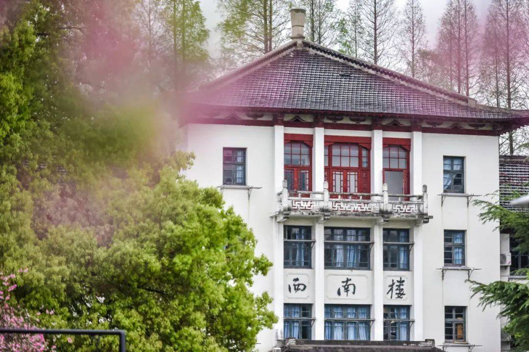 同济大学就业好不好?保研人数逐年上升,堪称高校标杆!_占比约_毕业生_