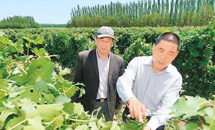自从陈德启在这里垦荒种葡萄,办酒厂,从西海固移民过来的大批农民都应