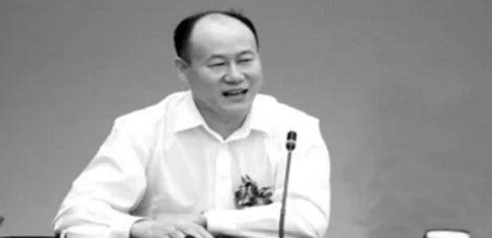 为此王奉友还专门成立了一家新公司,名为蚁力生天玺集团,用以处理蚂蚁