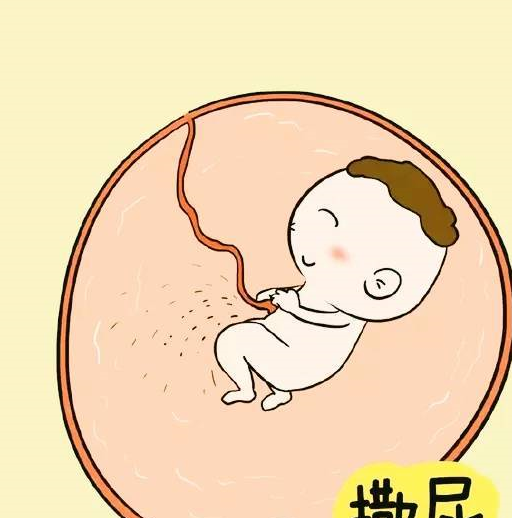 胎儿此时可能正在撒尿,因为胎儿是处于一个充满着羊水的环境中,胎儿会