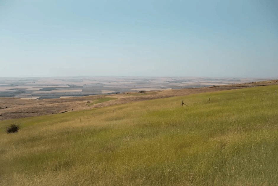 基于无人机高光谱遥感的荒漠化草原地物分类研究1.0-莱森光学