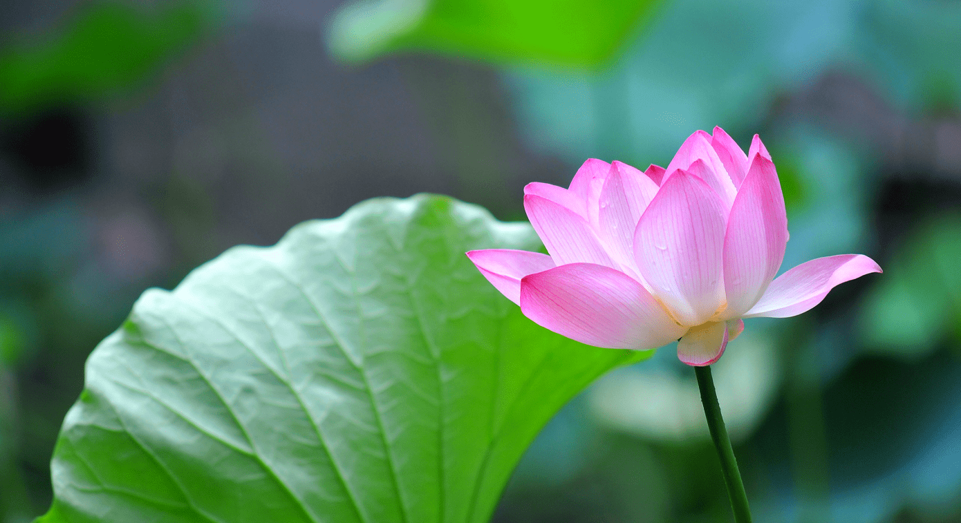 相由心生,境由心转