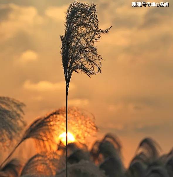 运动_身体_节制