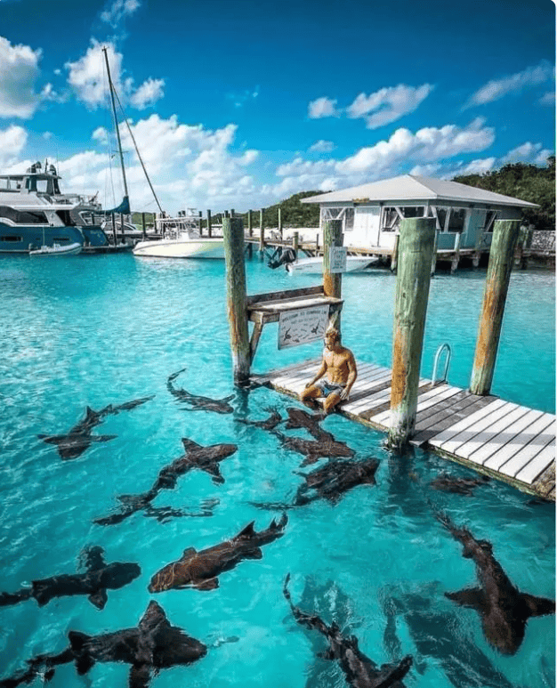 黑人的天堂巴哈马,当地可谓美女如云,他们都过着怎样的生活?