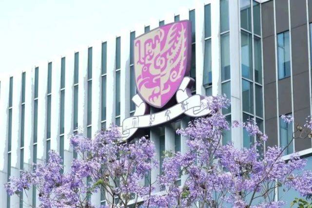 香港中文大学如何（香港中文大学如何填报） 香港中文大学怎样
（香港中文大学怎样
填报）〔香港中文大学怎么报〕 新闻资讯