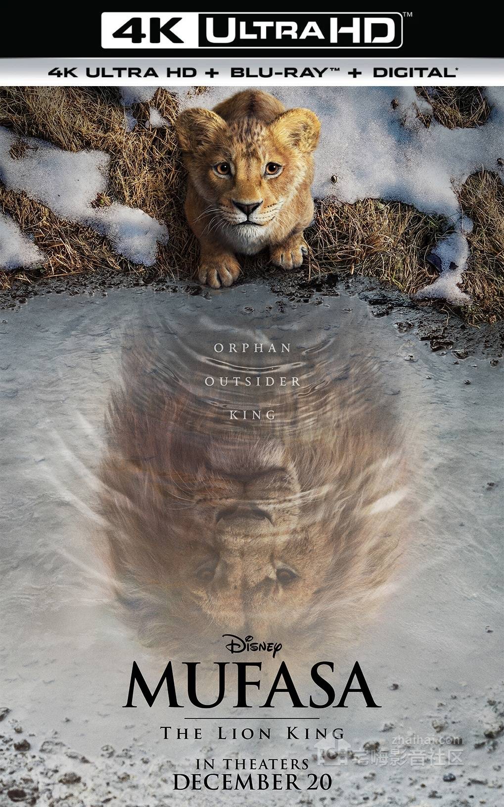   引起 《狮子王:木法沙的传说》4K蓝光电影即将上映:重返温暖的非洲草原。 