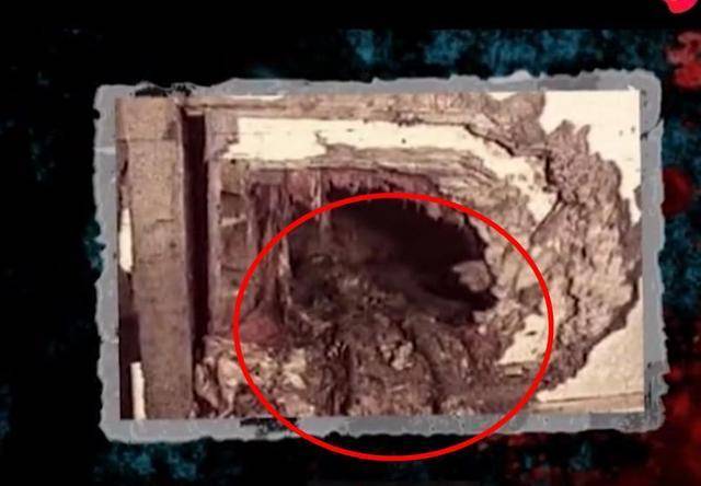 为什么专家已检测了光绪的头发,但还是无法确定他的死因呢?