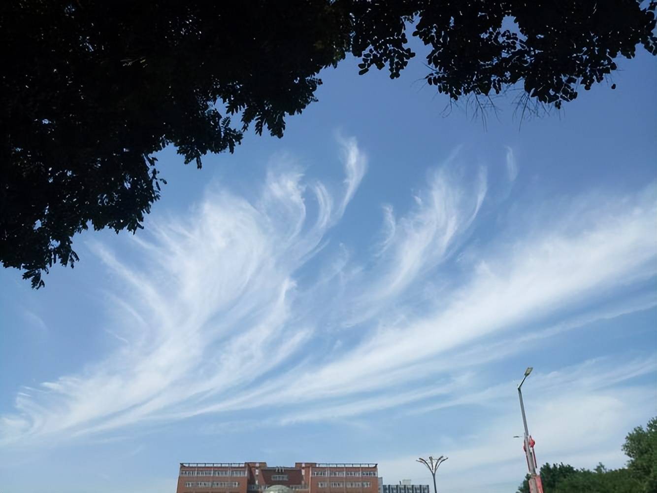 大神提醒:不出5年,这4种东西可能成为最贵消费品,哪4种东西?