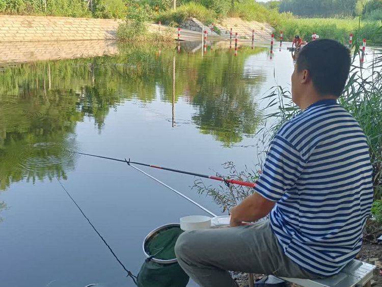 七律 仲夏垂钓有感(外四首)