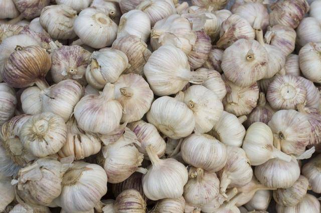 02值得一提的是,大蒜中还含有大蒜素,这是一种具有很强抗菌和抗癌作用