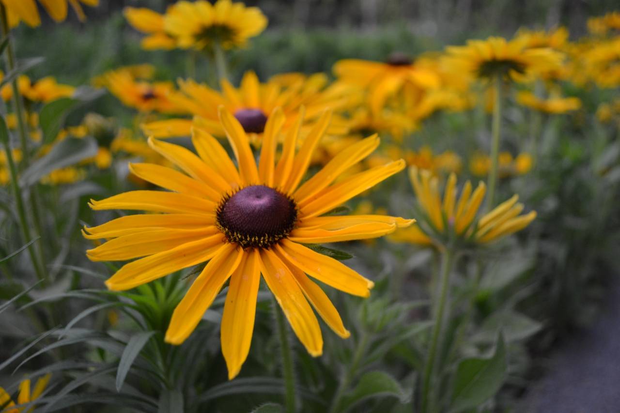 晴雨交织的空中漫步