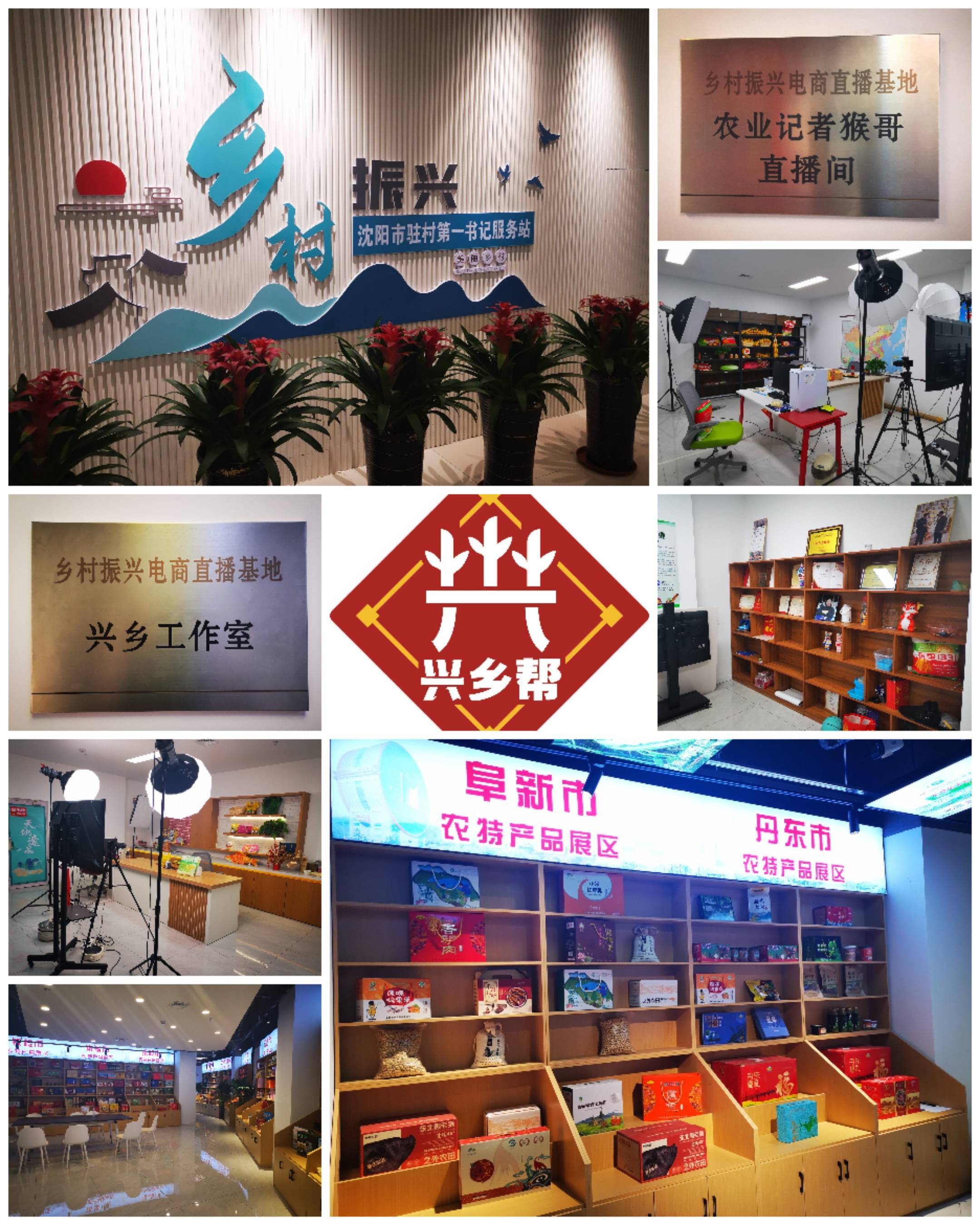 乡村全面振兴背景下电商助力乡村农产品经济发展