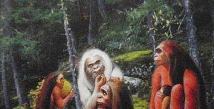 那帮"怪物"依然瞪了他们很久,之后才小心翼翼的靠近那些食物,拿到手