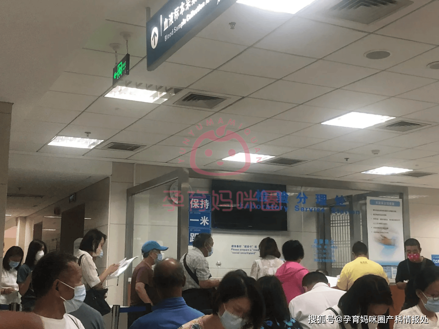 该如何选择?今天给大家全面分析一下