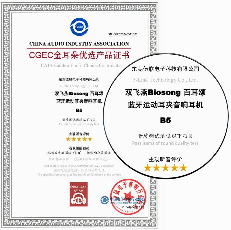 双飞燕百耳颂B5蓝牙耳机，【金耳朵】五星音质认证，颠覆音质体验