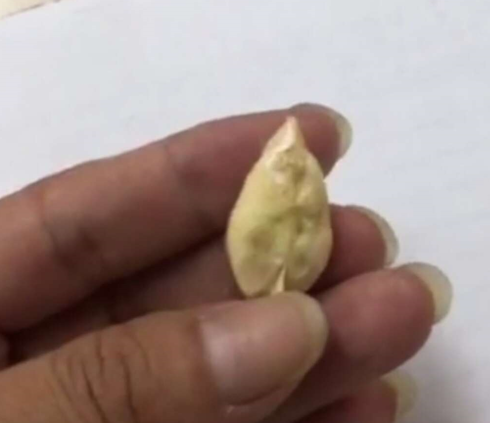 男子做鱼发现价值数百万"鱼宝",网友的关注点亮了!