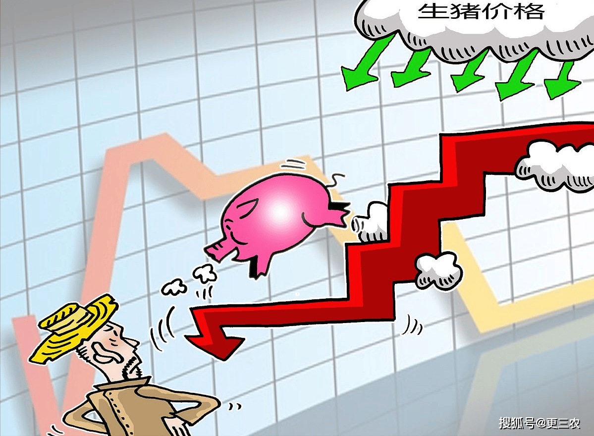 附6月24日猪价 猪价 端午节后大跌7.2% 要报复性下跌 跳水