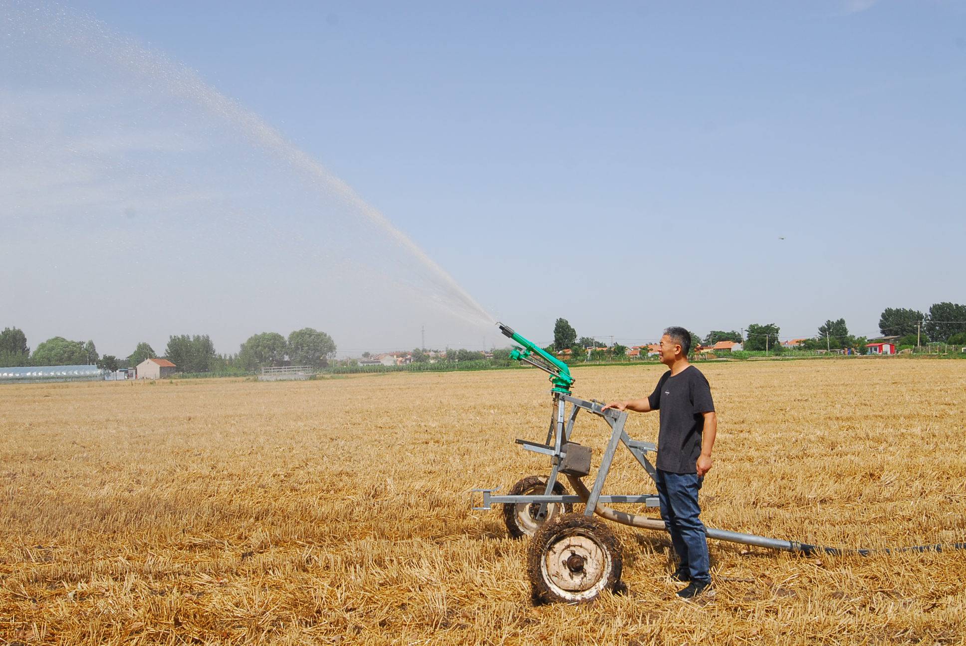 大信街道普东村种粮大户袁术格的650多亩玉米地用上了自走式航架喷灌