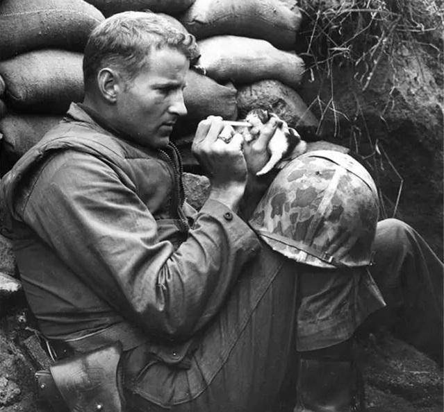 第三帝国的军人们,面对镜头你们也要像"狗"一样趴着!_士兵_德军_美军