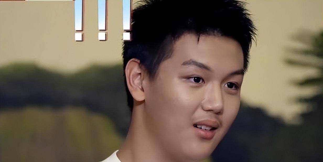 王艳的儿子王泓钦和章泽天的故事虽然各具特色,但他们却共同映射