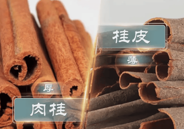 肉桂和桂皮虽一字之差,但不是去皮的区别,差别很大,别