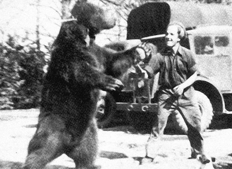 沃铁不在乎占地上不平坦的地形,即便在山地上也能