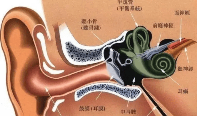 开放式耳机怎么选?五大2024年口碑销量爆棚机型力荐!
