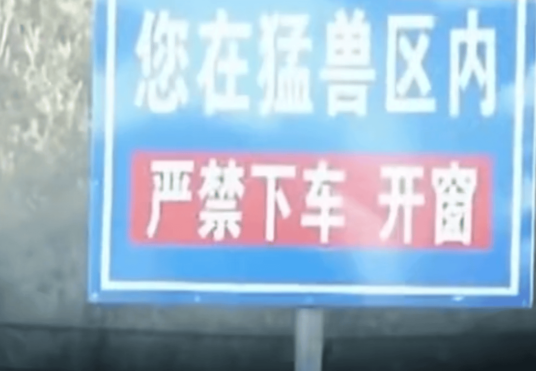 2016年八达岭老虎伤人案:一死一伤索赔155万败诉,如今怎样了?