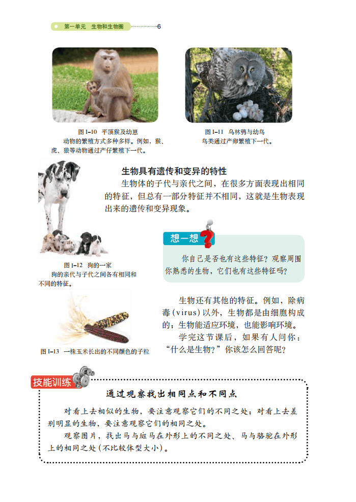 包含(六)生物(40条)的词条 包含(六)生物(40条)的词条