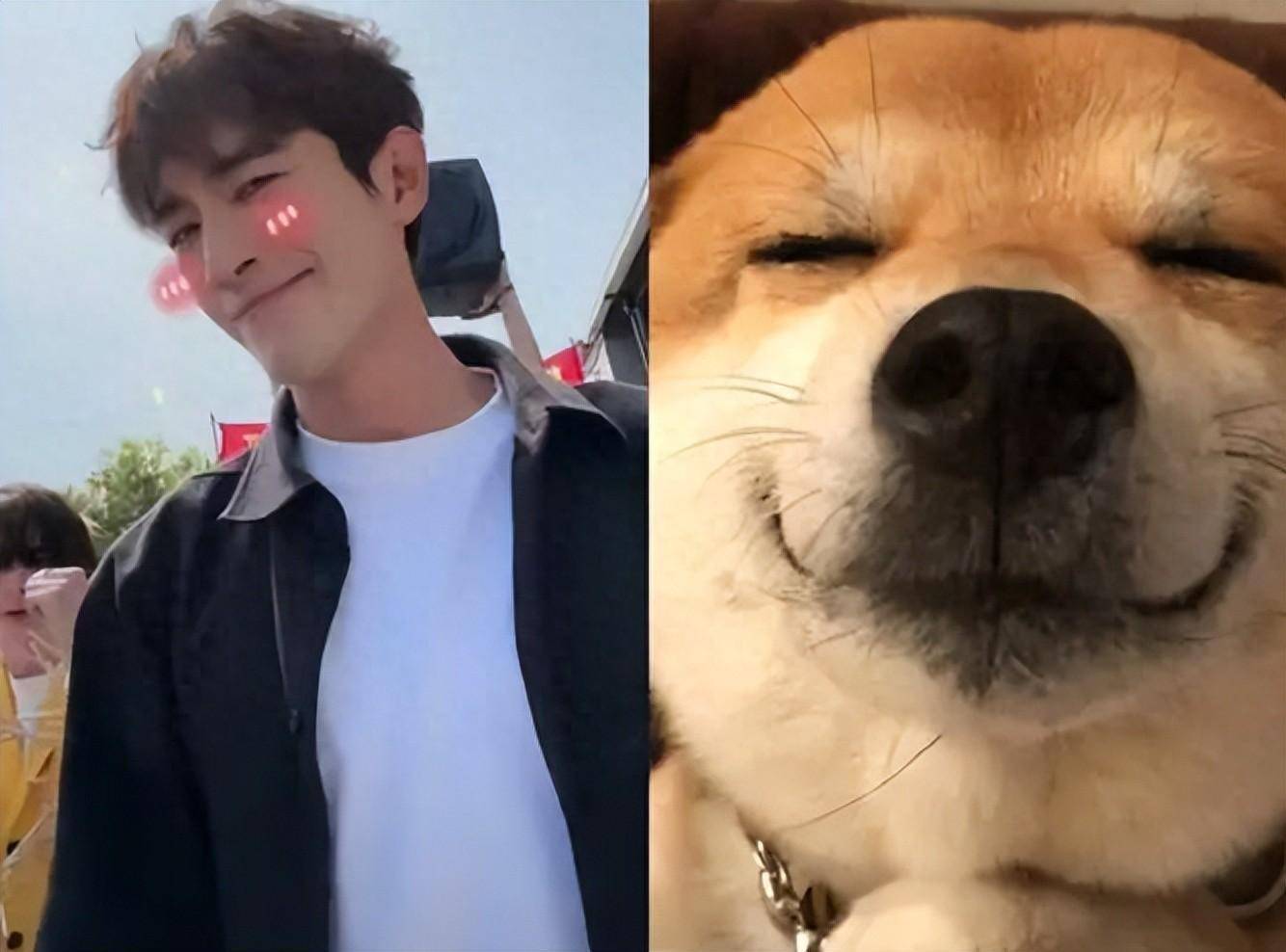 笑不活了!网友内涵他是"林狗";林更新称自己最近不太方便回怼