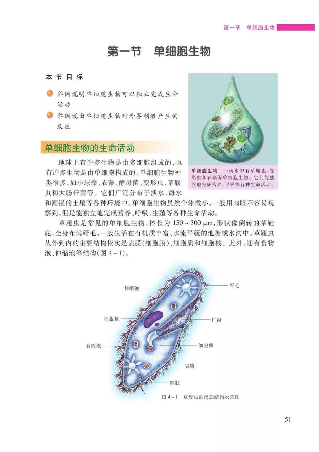 2024新教材苏教版七年级生物上册电子课本