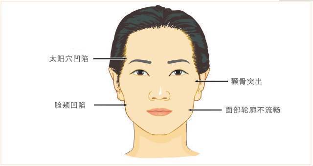 人脸图片面部结构图图片