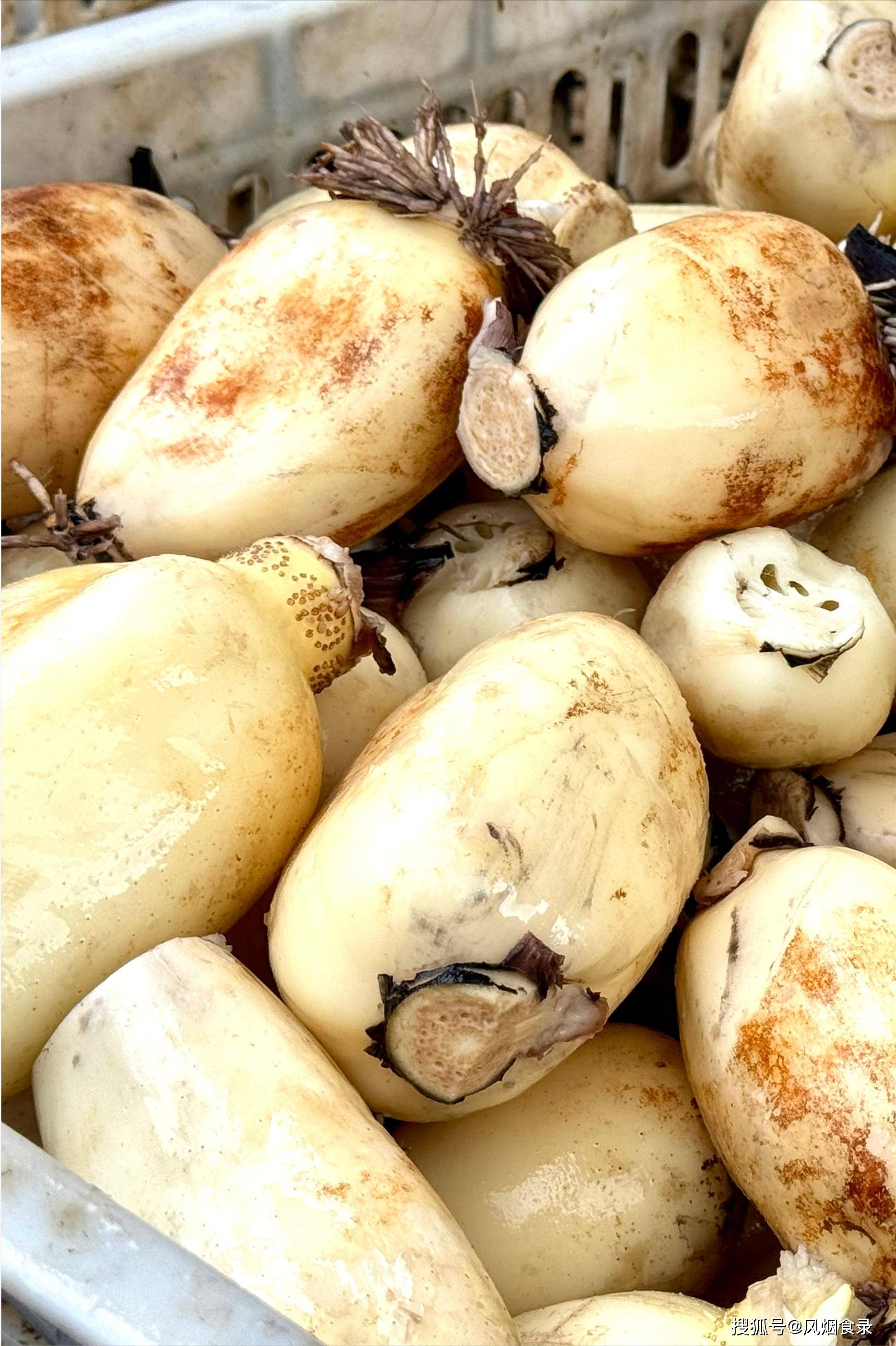 中国哪的"莲藕"最好吃?经过评选,这10大产区上榜,有你家乡吗