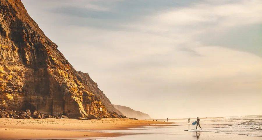 下半年家电厂商核心任务就一个点-家电圈官网