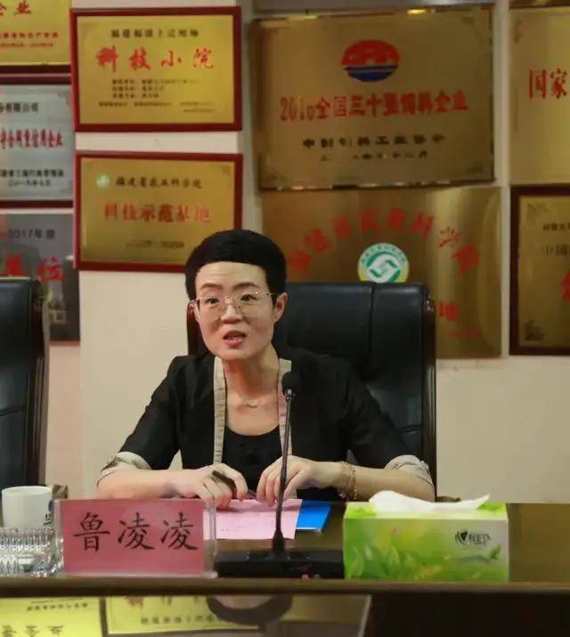 中国进出口银行福建省分行行长助理鲁凌凌一行莅临天马科技集团考察