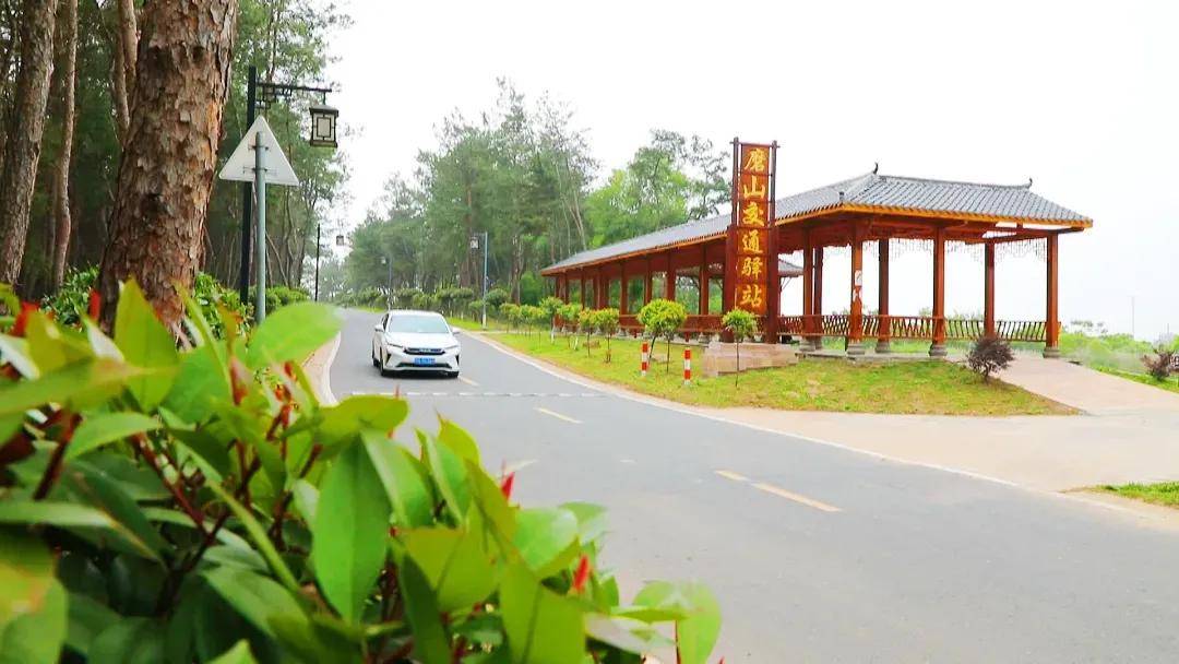 "王店镇磨山村村干部王小菊说.