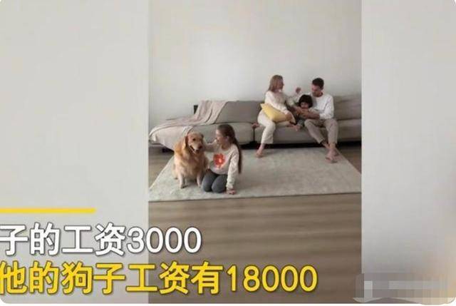 广东男子晒自家金毛工资1万8，而他才3000