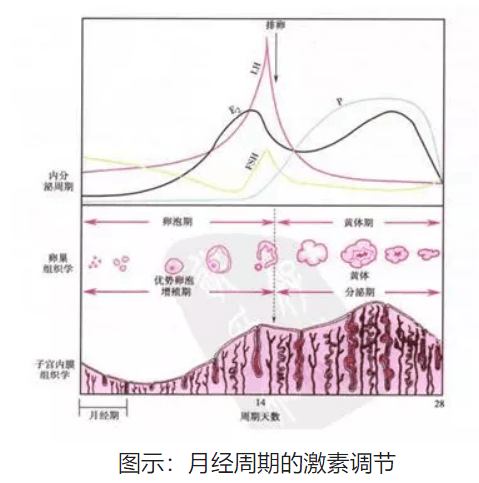 正常吗?