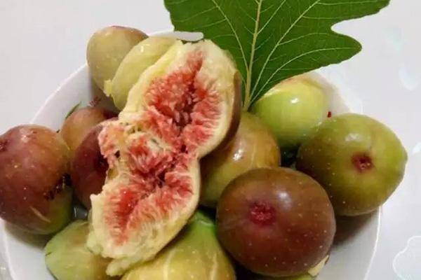 为什么说无花果里会有昆虫的"尸体"?了解真相后根本不敢相信